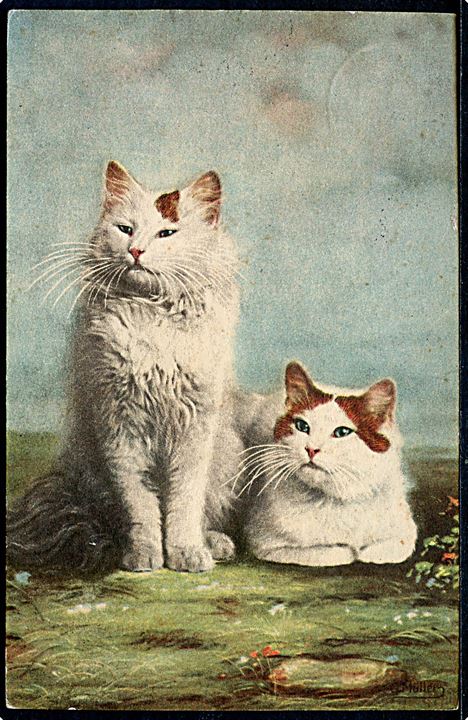 G. Müller. Tegnet kort med 2 katte. Kort uden frimærke, men med sidestemple, ALSØNDERUP type 1, udslebent stjernestempel. Godt stempel!