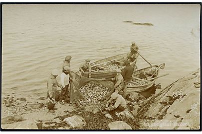 Grønland, Angmagssat fiskeri. Fotokort u/no.