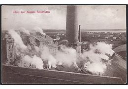 Nakskov, udsigt over sukkerfabrik. Warburg no. 5637.