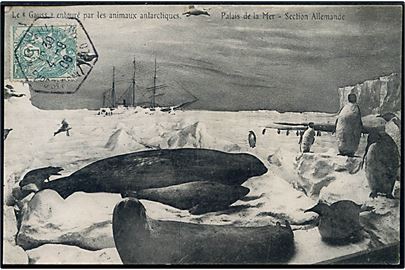 Tysk polarekspedition: Le Gauss entouré par les animaux antarctiques Palais de la Mer - Section Allemande. Frankeret 5 c. og annulleret med udstillingsstempel Marseille Exposition Coloniale d. 4.9.1906.