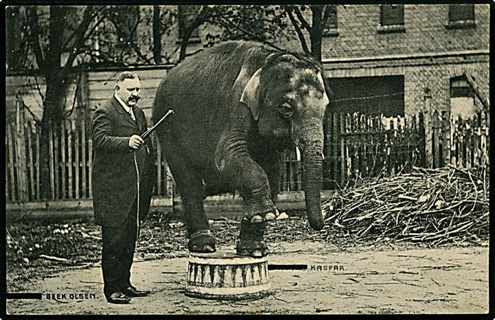 Cirkus Bech Olsen og elefanten Kaspar tjener penge til et nyt elefanthus. Papyrus u/no. Kvalitet 9