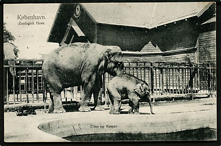 Zoologisk Have. Elefanterne Ellen og Kaspar. Fritz Benzen no. 173. Kvalitet 8
