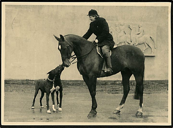 Sport. OL 1948. Ridning. Hesten “Esja” som deltog ved OL i London. U/no. Kvalitet 7