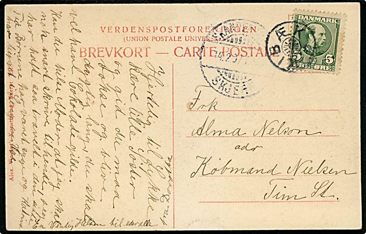 5 øre Chr. IX på brevkort (Sødringholm) annulleret med stjernestempel KIBÆK og sidestemplet bureau Skanderborg - Skjern d. 14.2.1907 til Tim St.