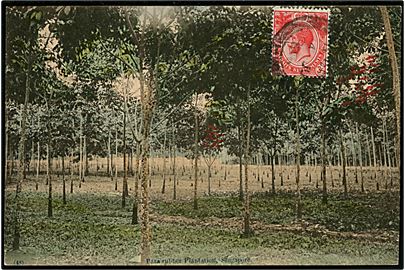 Para rubber plantation, Singapore. Med 3 cent sendt til Bangkok. 