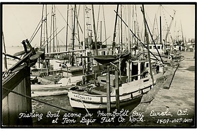 Amerikanske fiskefartøjer i Eureka, Humbolt Bay, California. 