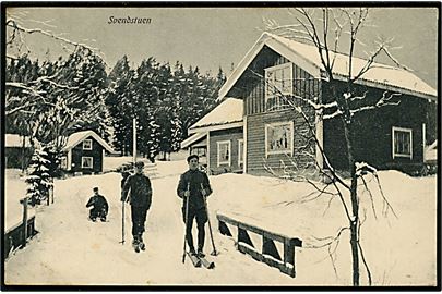 Norsk skilandskab ved Svendstuen. M. Sørum no. 21.