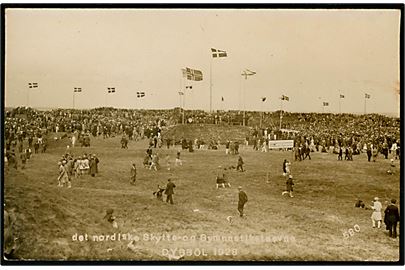Dybbøl Banke. Det nordiske Skytte og Gymnastikstævne 1928. Fotokort no. 580.