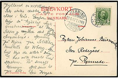 5 øre Fr. VIII på brevkort (Silkeborg, Hedehøjene) annulleret med stjernestempel SUNDS og sidestemplet bureau Herning - Viborg T.1149 d. 29.8.1907 til Rønnede.