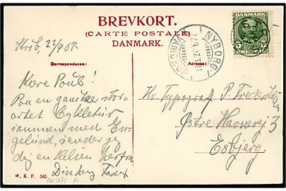 5 øre Fr. VIII på brevkort (Strib Færgegaard) annulleret med stjernestempel STRIB og sidestemplet bureau Nyborg - Vamdrup T.31 d. 22.9.1907 til Esbjerg.