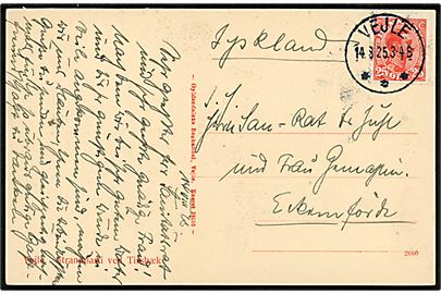 25 øre Chr. X single på brevkort (Stransparti ved Tirsbæk med dampbåd) annulleret med brotype IIIb Vejle *** d. 14.8.1925 til Eckernförde, Tyskland.