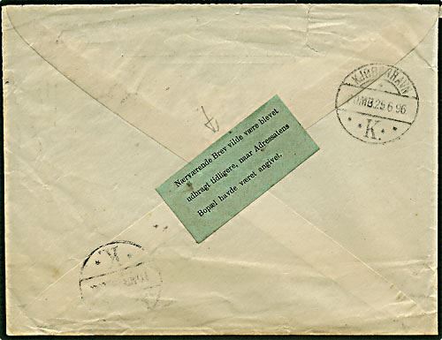 Post etikette på brev fra Sussex til København, ank. stemplet d. 25.6.1896.