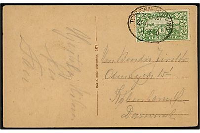 5 mk. Fælles udg. på overfrankeret brevkort (Gruss vom Nordseestrand) annulleret med bureaustempel Tondern - Hvidding Bahnpost Zug (uden nr.) d. 11.2.1920 til København.