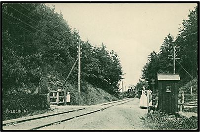 Fredericia, Hannerup skov med jernbanespor og ankommende damptog. H. C. Wenk u/no.
