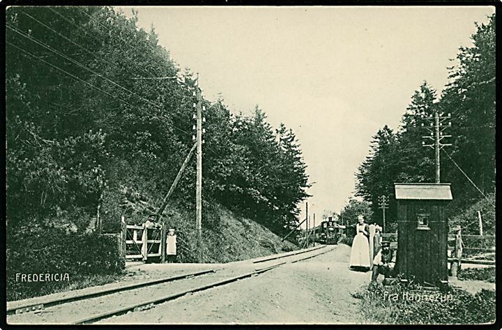 Fredericia, Hannerup skov med jernbanespor og ankommende damptog. H. C. Wenk u/no.