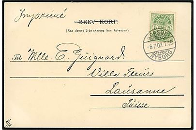 5 øre Våben på brevkort (Fra Langelinie) sendt som tryksag og annulleret med sejlende bureaustempel Korsør - Nyborg T.45 d. 6.7.1902 til Lausanne, Schweiz.