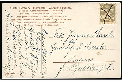 3 øre Bølgelinie på lokalt brevkort annulleret med blækkryds dateret Vigsnæs Mølle d. 26-5-1909 til Vigsnæs pr. Guldborg L.