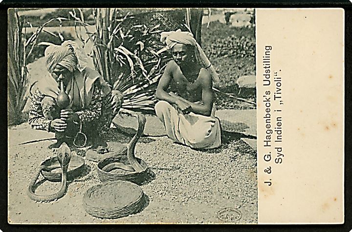 Tivoli. Syd-Indien i Tivoli, slangetæmmer. J. & G. Hagenbeck’s udstilling. W. Hoffmann u/no. Kvalitet 7