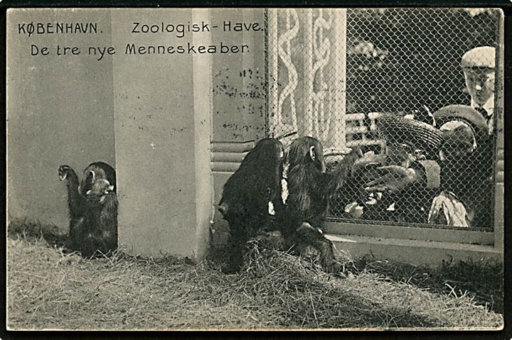 Zoologisk Have, de tre nye menneskeaber. Stenders no. 11435. Afrevet frimærke.  Kvalitet 7