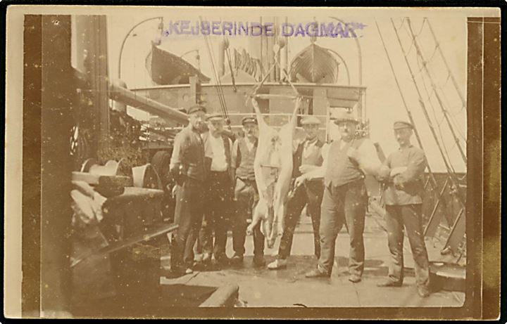 “Kejserinde Dagmar”, S/S, Skagerak D/S. Slagtning af svin ombord. Fotokort fra Emden u/no. Kvalitet 7