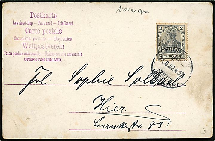 Max Müller: Parti fra Saeterdal. Kartonkort anvendt som brevkort i Tyskland 1902.
