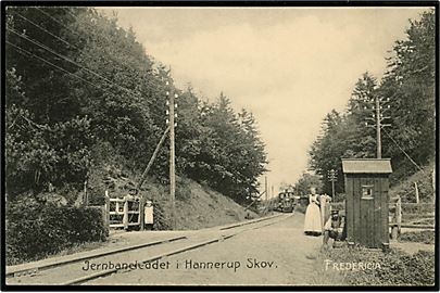 Fredericia, Jernbaneleddet ved Hannerup Skov med ankommende damptog. U/no.