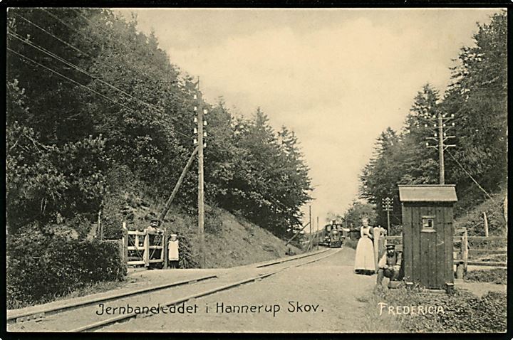Fredericia, Jernbaneleddet ved Hannerup Skov med ankommende damptog. U/no.