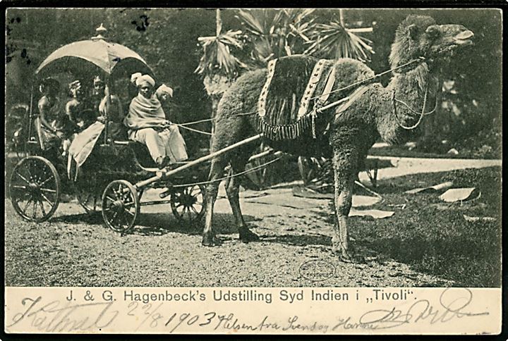 Købh., Tivoli, J. & G. Hagenbeck's Udstilling Syd Indien i Tivoli. U/no.