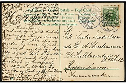5 øre Fr. VIII på brevkort annulleret med stjernestempel SAUNTE og sidestemplet bureau Helsingør - Hornbæk T.10 d. 13.11.1907 til København.
