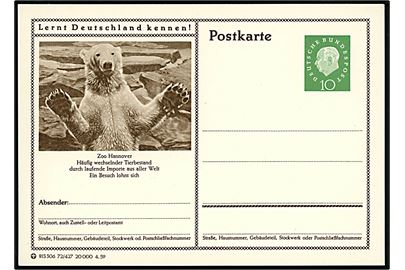 Isbjørn i Hannover zoo. 10 pfg. Heuss illustreret helsagsbrevkort Lernt Deutschland kennen!. 