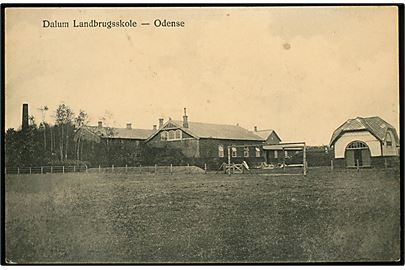 Odense, Dalum Landbrugsskole med fodboldbane. OBPM u/no.
