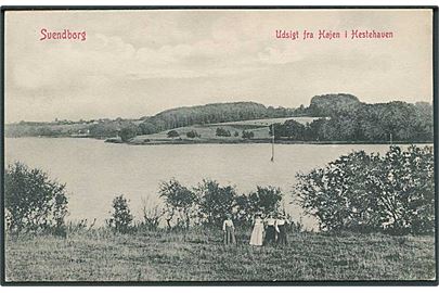 Svendborg, udsigt fra Højen i Hestehaven. W.K.F. no 1050.