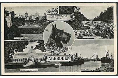 Greetings from Aberdeen. Partier incl. havn og skotsk terrier. U/no.