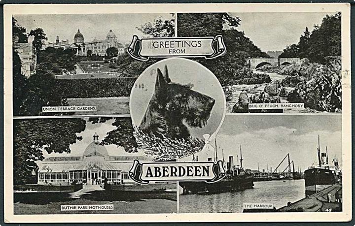 Greetings from Aberdeen. Partier incl. havn og skotsk terrier. U/no.