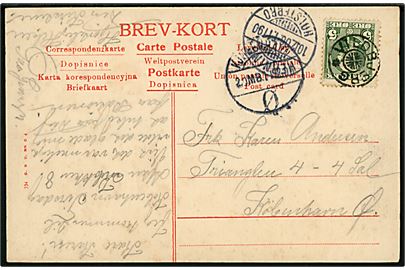 5 øre Chr. IX på brevkort (Vildbjerg) annulleret med stjernestempel VILDBJERG og sidestemplet bureau Herning - Holstebro T.1190 d. 10.12.1906 til København.