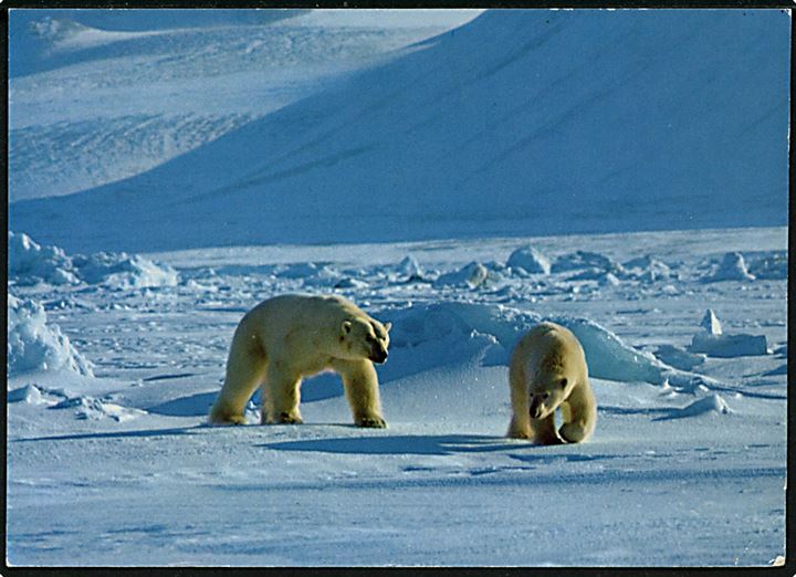 100 øre på brevkort (Isbjørne) dateret 81N15E (ved iskanten nord for Svalbard) annulleret med skibsstempel Svalbardruta d. 27.7.1974 til Stockholm, Sverige.