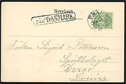 5 øre Våben på brevkort fra Helsingør annulleret med svensk bureaustempel PKXP No. 81B (= Göteborg-Helsingborg) d. 19.4.1904 og sidestemplet Från Danmark til Wexiö, Sverige.