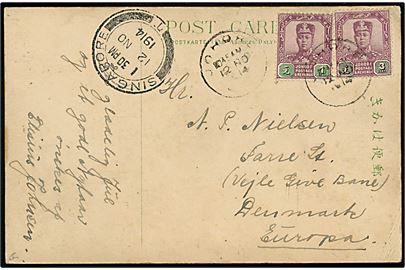 1 cent og 3 cents på brevkort stemplet Johore d. 12.11.1914 via Singapore d. 12.11.1914 til Farre St. (Vejle - Give Bane)., Danmark. Uden tegn på censur.