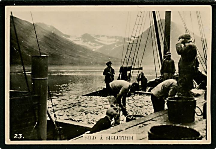 Island, Sildefiskeri ved Siglufirdi. Samlekort 5x7½ cm