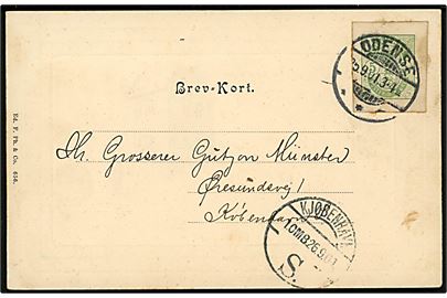 5 øre Våben helsagsafklip anvendt som frankering på brevkort (Hilsen fra Odense, Vor Frue Kirke) fra Odense d. 25.9.1901 til København.