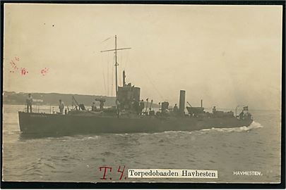 Marine. “Havhesten”, torpedobåd. Fotokort u/no. Kvalitet 7