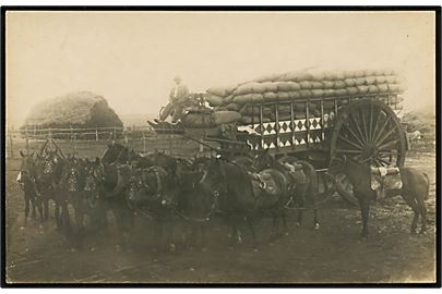 Argentina, Kæmpe hestevogn lastet med korn. Fotokort u/no.