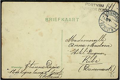Ufrankeret interneret brevkort fra belgisk krigsfange i Legerplaats bij Zeist d. 14.2.1916 til Ribe, Danmark.