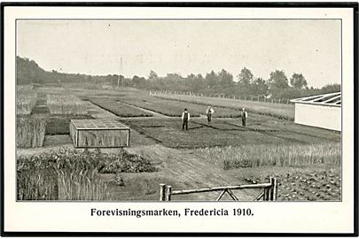 Fredericia, forevisningsmarken 1910. U/no.