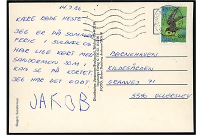 2,80 kr. Ravn på brevkort (Skagen, Sandormen) annulleret med maskin-bureaustempel Fredericia - Frederikshavn T.594 d. 14.7.1986 til Ullerslev. Nålehuller. 