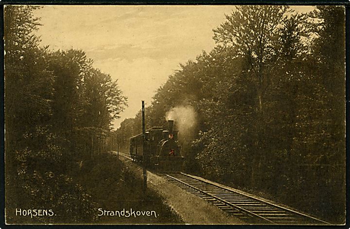 Horsens. Toget køre gennem Strandskoven. Anvendt i Ørting 1909. 