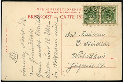 5 øre Fr. VIII i parstykke på brevkort (Dampfærgen Prins Christian annulleret med tysk bureaustempel Berlin - Warnemünde Bahnpost Zug 16 d. 13.10.1907 til Potsdam, Tyskland.