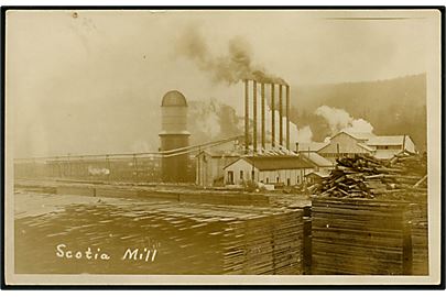 USA, California, Pacific Lumber Company Scotia Mill savværk. 