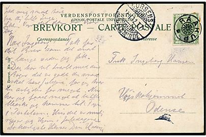 5 øre Fr. VIII helsagsafklip som frankering på brevkort annulleret med stjernestempel RAARUP og sidestemplet med bureau Horsens - Juelsminde T.7 d. 12.11.1912 til Odense.