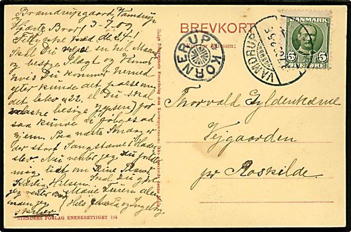 5 øre Fr. VIII på brevkort fra Vamdrup d. 3.7.1909 til Vejgaarden pr. Roskilde. Ank.stemplet med stjernestempel KORNERUP.